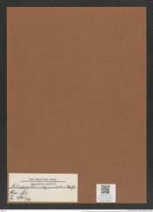 Actinocyclus interpunctatus Ralfs. (de-Toni-Nr.: Genus 195, Species 4801/72) Zeichnungen Sammlung Grunow Mappe 04663 (Herbarium_W_Grunow_drawings_Folder_04663)
